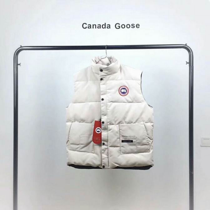 canada goose-027